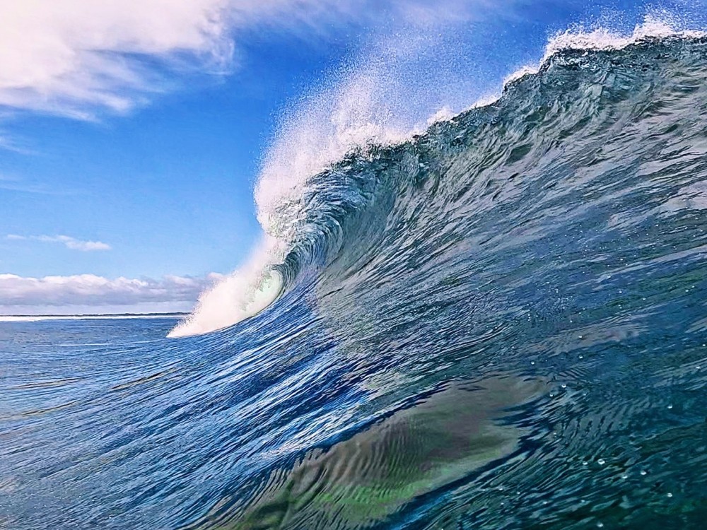 A8917A54-DBF2-4D5F-86B8-FE0DBCEC0440