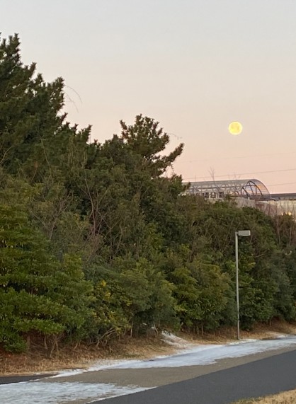 1/4am6:49浦安フルムーン