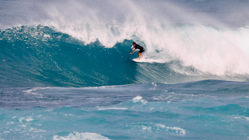 スクリーンショット 2026-01-17 14.46.08