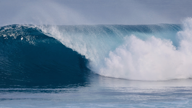 スクリーンショット 2026-01-20 5.45.28