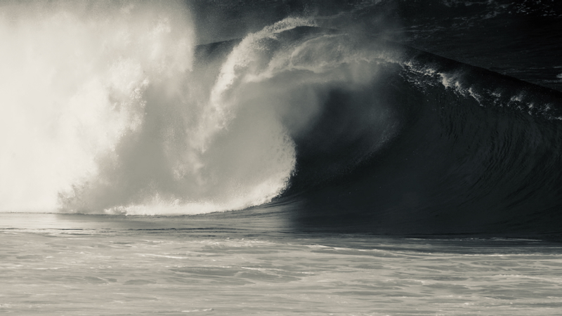 スクリーンショット 2026-01-12 5.52.37