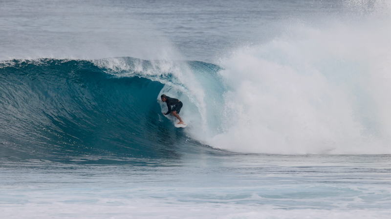 スクリーンショット 2026-01-24 17.45.50