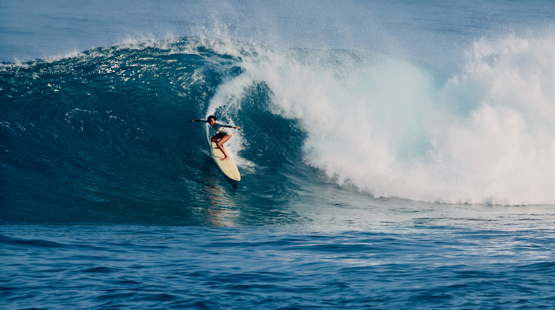 スクリーンショット 2026-01-28 17.47.46