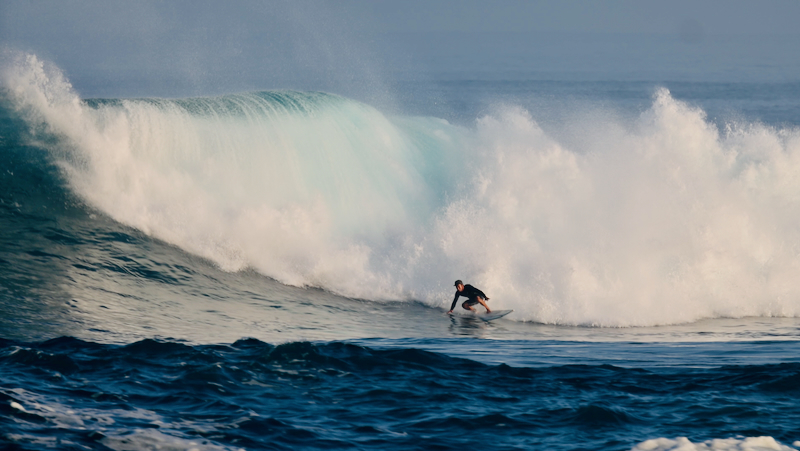 スクリーンショット 2026-01-28 17.21.47
