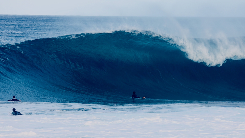 スクリーンショット 2026-01-08 4.45.44