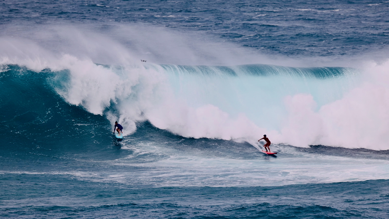 スクリーンショット 2026-01-16 13.53.03