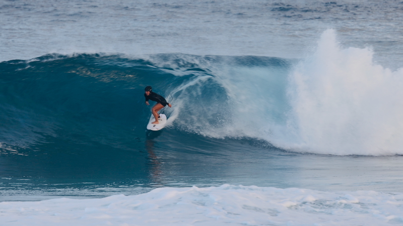 スクリーンショット 2026-01-19 2.17.47