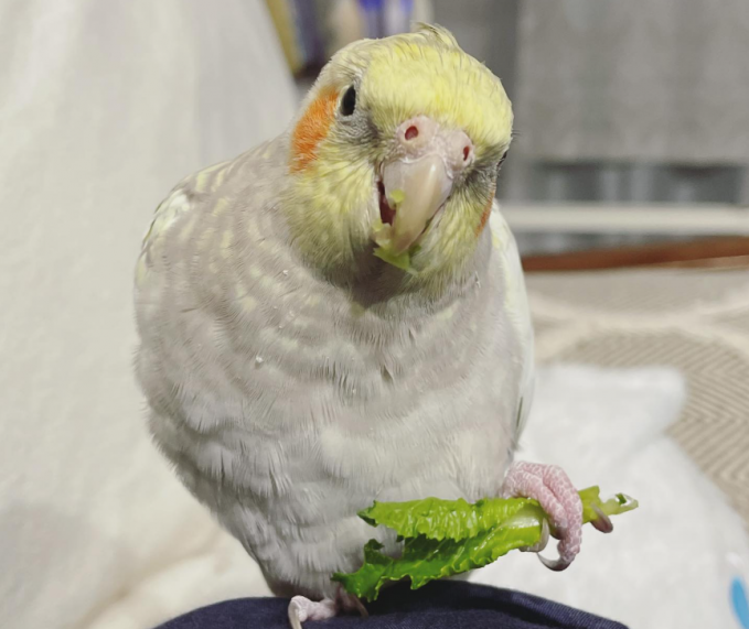 スクリーンショット 2025-12-24 121704