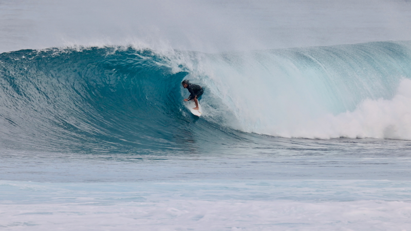 スクリーンショット 2026-01-24 17.45.12