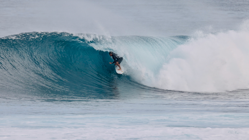 スクリーンショット 2026-01-24 17.45.24