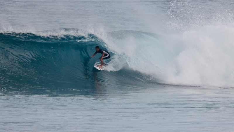 スクリーンショット 2026-01-24 17.43.05