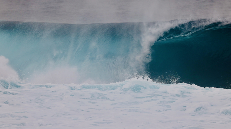 スクリーンショット 2026-01-22 19.52.29