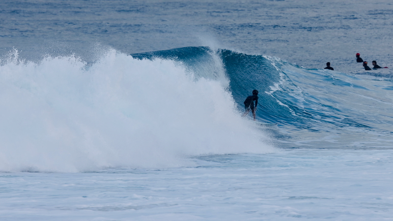 スクリーンショット 2026-01-20 5.42.39