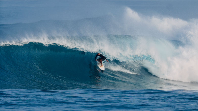 スクリーンショット 2026-01-28 17.29.52