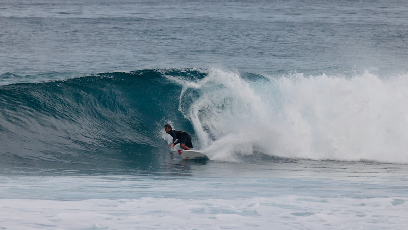 スクリーンショット 2026-01-24 17.47.05