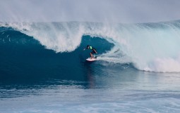 スクリーンショット 2026-01-20 5.44.50