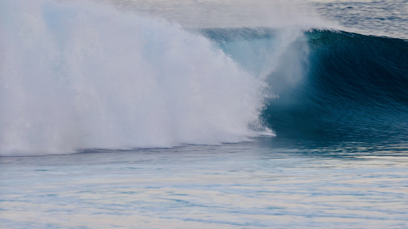 スクリーンショット 2026-01-27 16.39.43