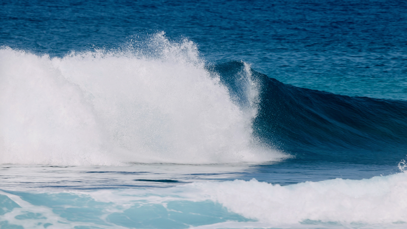 スクリーンショット 2026-01-29 14.08.55