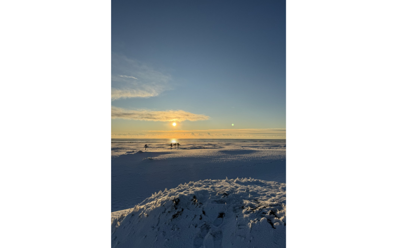 名称未設定のデザイン (1)