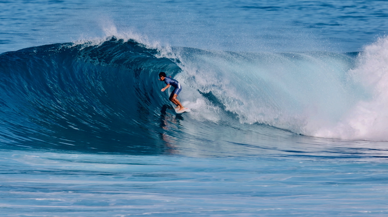 スクリーンショット 2026-01-08 17.25.11