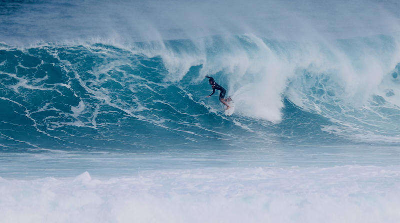 スクリーンショット 2026-01-24 4.35.35