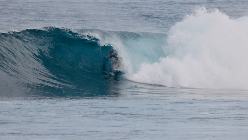 スクリーンショット 2026-01-24 17.42.14