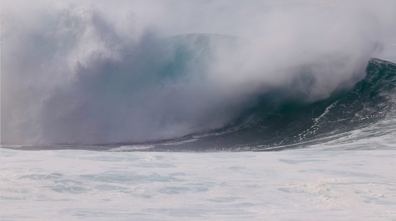 スクリーンショット 2026-01-12 6.17.19