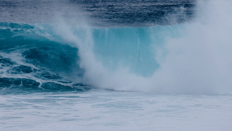 スクリーンショット 2026-01-19 3.23.11