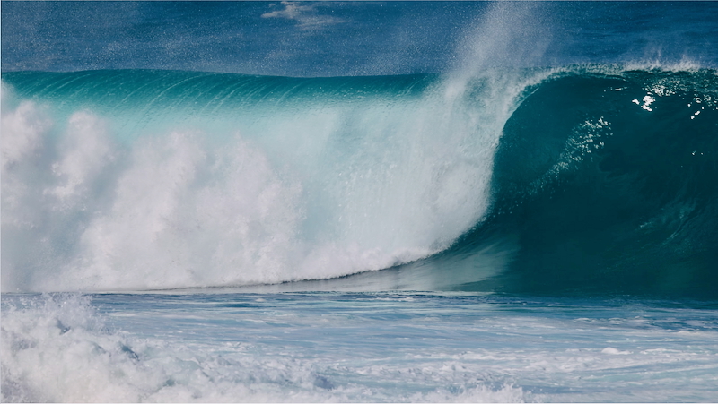 スクリーンショット 2026-01-14 4.12.35