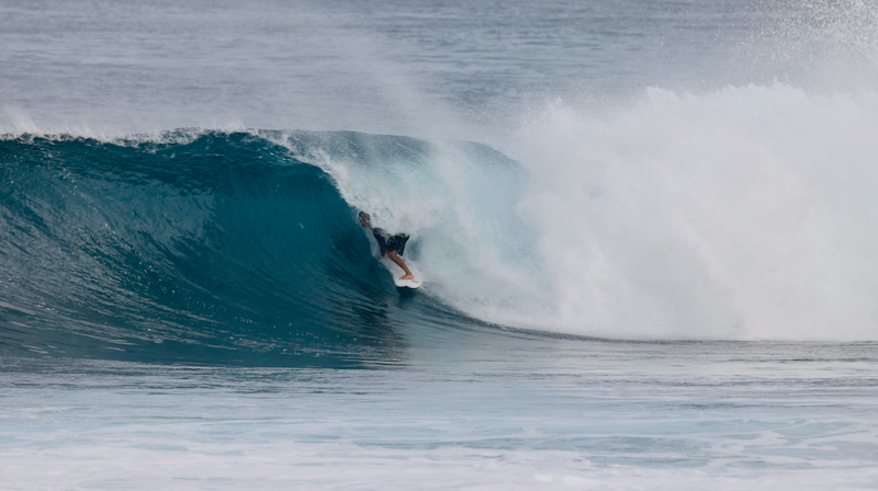 スクリーンショット 2026-01-24 17.46.03