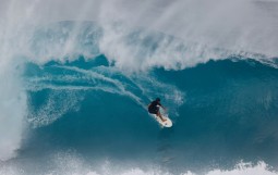 スクリーンショット 2026-01-30 18.48.49