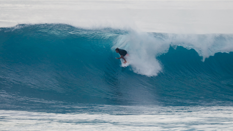 スクリーンショット 2026-01-20 5.31.19