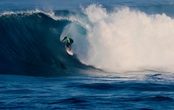 スクリーンショット 2026-01-28 17.32.02