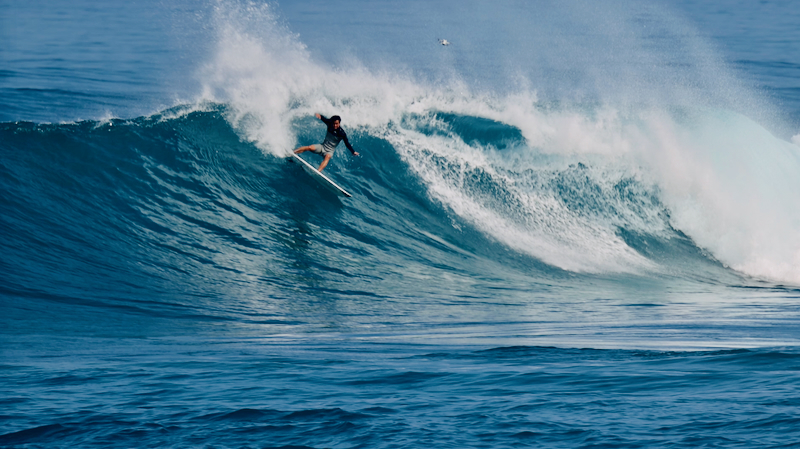 スクリーンショット 2026-01-28 18.13.01