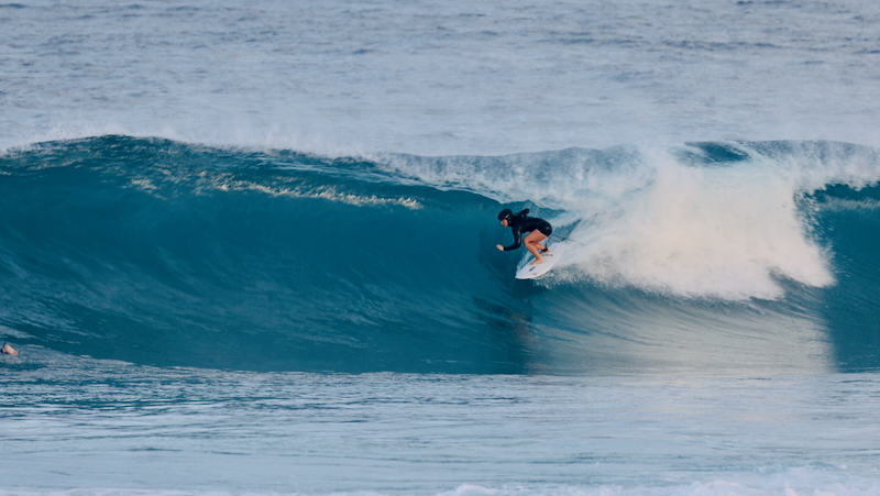 スクリーンショット 2026-01-19 2.15.19