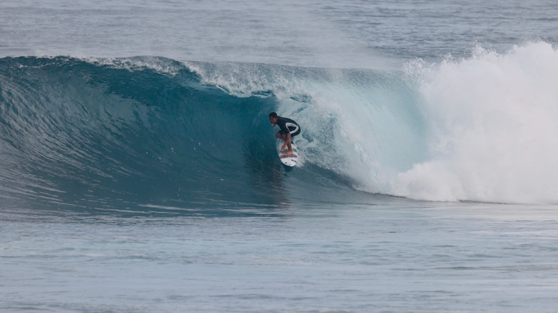 スクリーンショット 2026-01-24 17.41.17