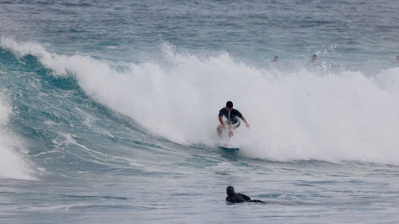 スクリーンショット 2026-01-24 17.44.09