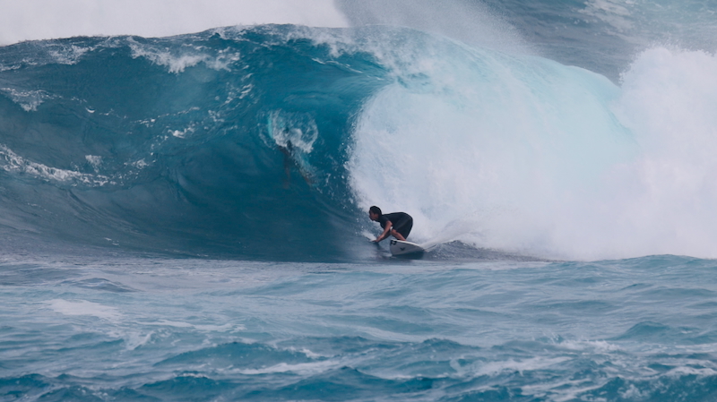 スクリーンショット 2026-01-17 14.51.37