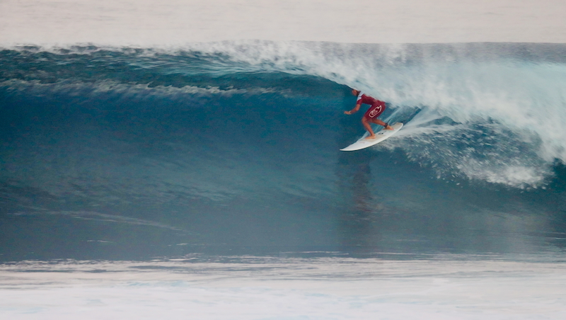 スクリーンショット 2026-01-10 17.24.22