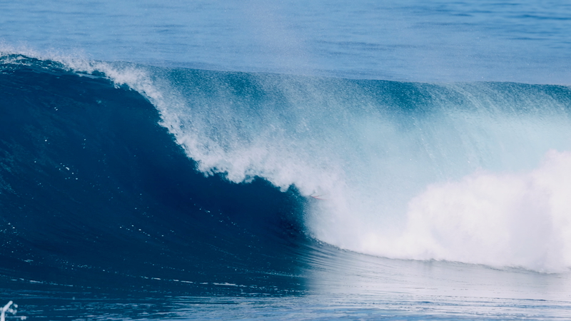 スクリーンショット 2026-01-08 17.34.03