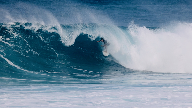 スクリーンショット 2026-01-24 4.39.02