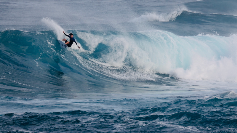 スクリーンショット 2026-01-17 14.31.50