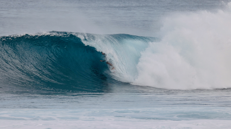 スクリーンショット 2026-01-24 17.45.37