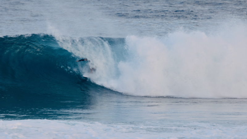 スクリーンショット 2026-01-19 2.16.53