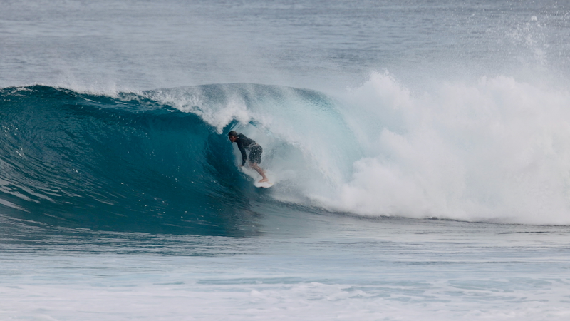 スクリーンショット 2026-01-24 17.46.16