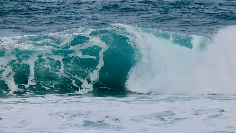 スクリーンショット 2026-02-25 21.12.47