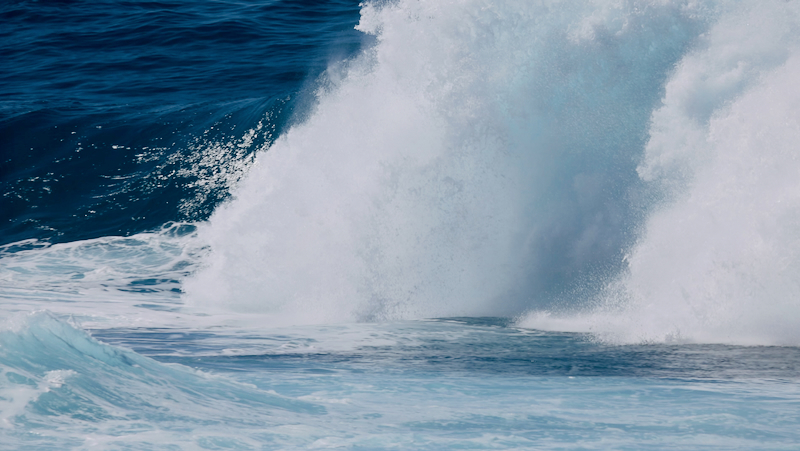 スクリーンショット 2026-02-01 3.28.20