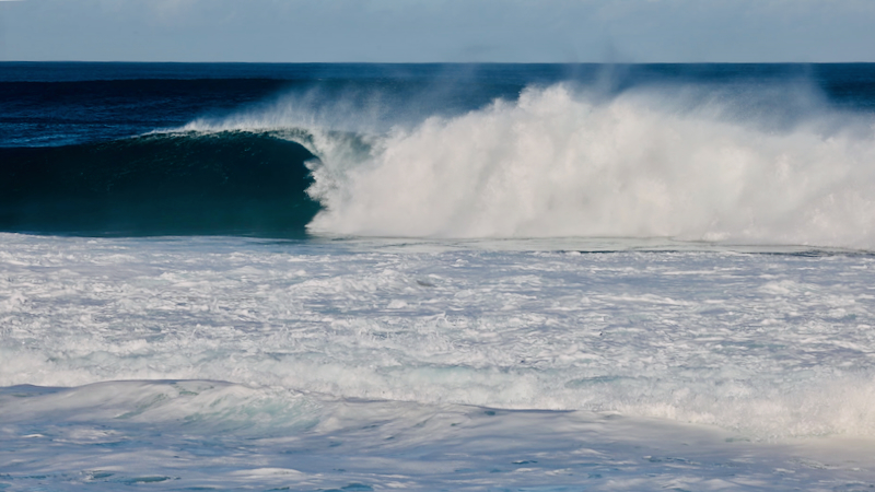 スクリーンショット 2026-02-02 4.08.32