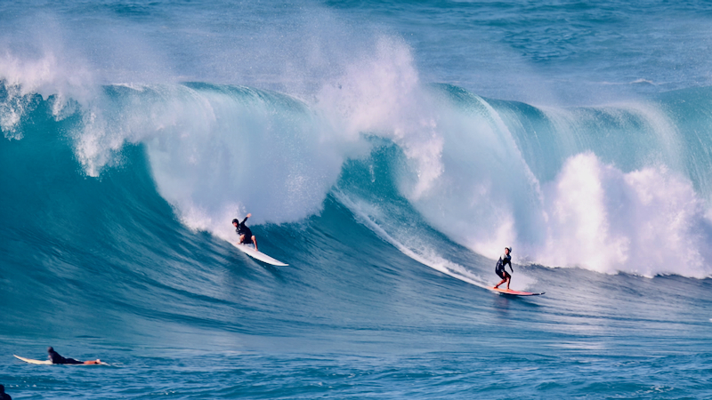 スクリーンショット 2026-02-04 4.45.43