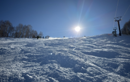 スクリーンショット 2026-02-16 11.47.44